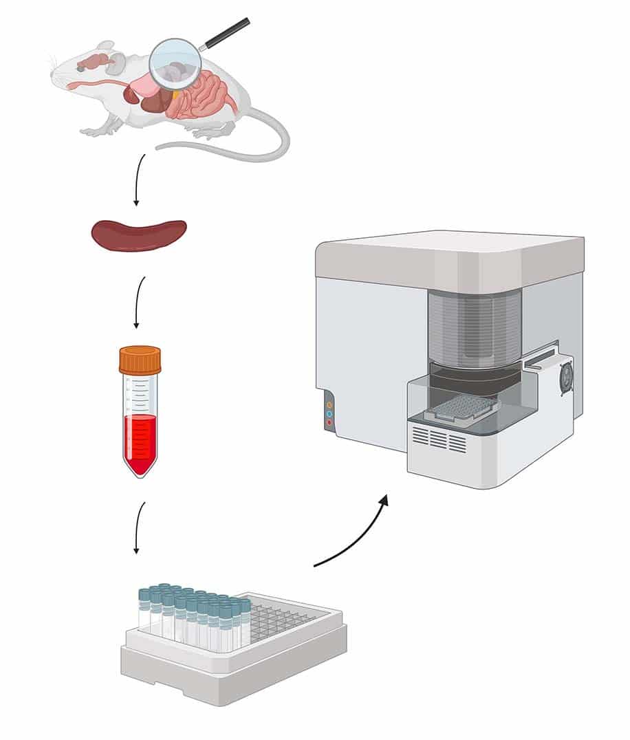 Flow Cytometry Services Ichor Life Sciences