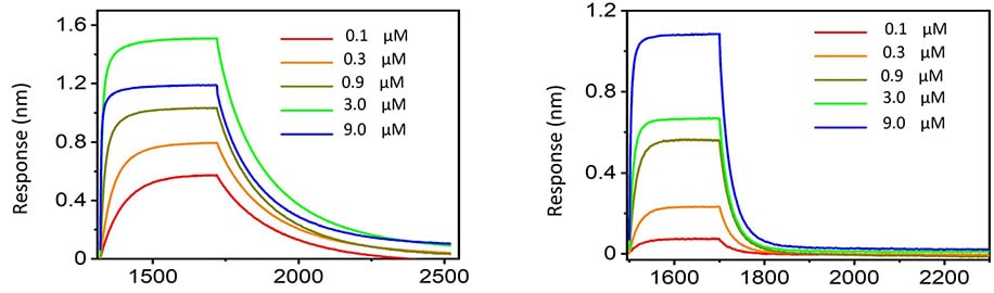 Bio Layer Interferometry Services Ichor Life Sciences