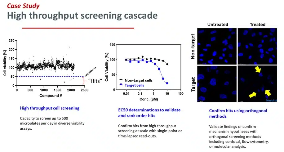 High-Throughput-Screening-Cascade