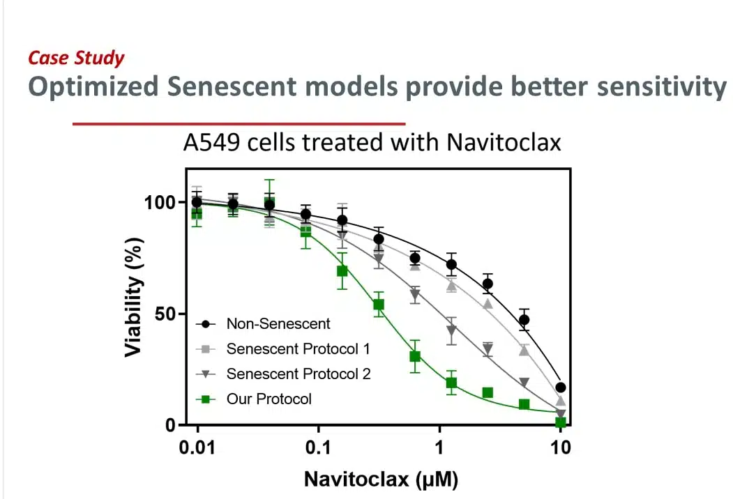 Navitoclax Screening in Sen Cells