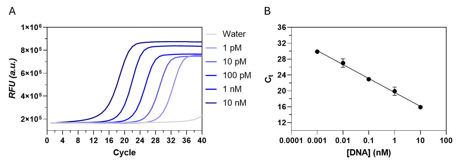 Cycle _DNA