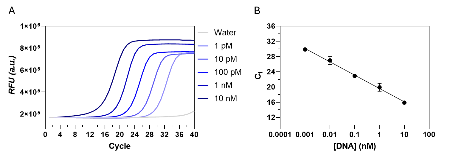 Cycle _DNA