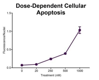 Dose Dependent Cellular