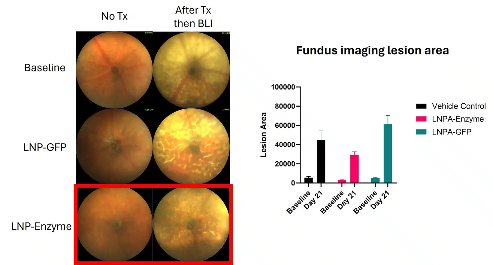 amd_case-study-fundus@2x