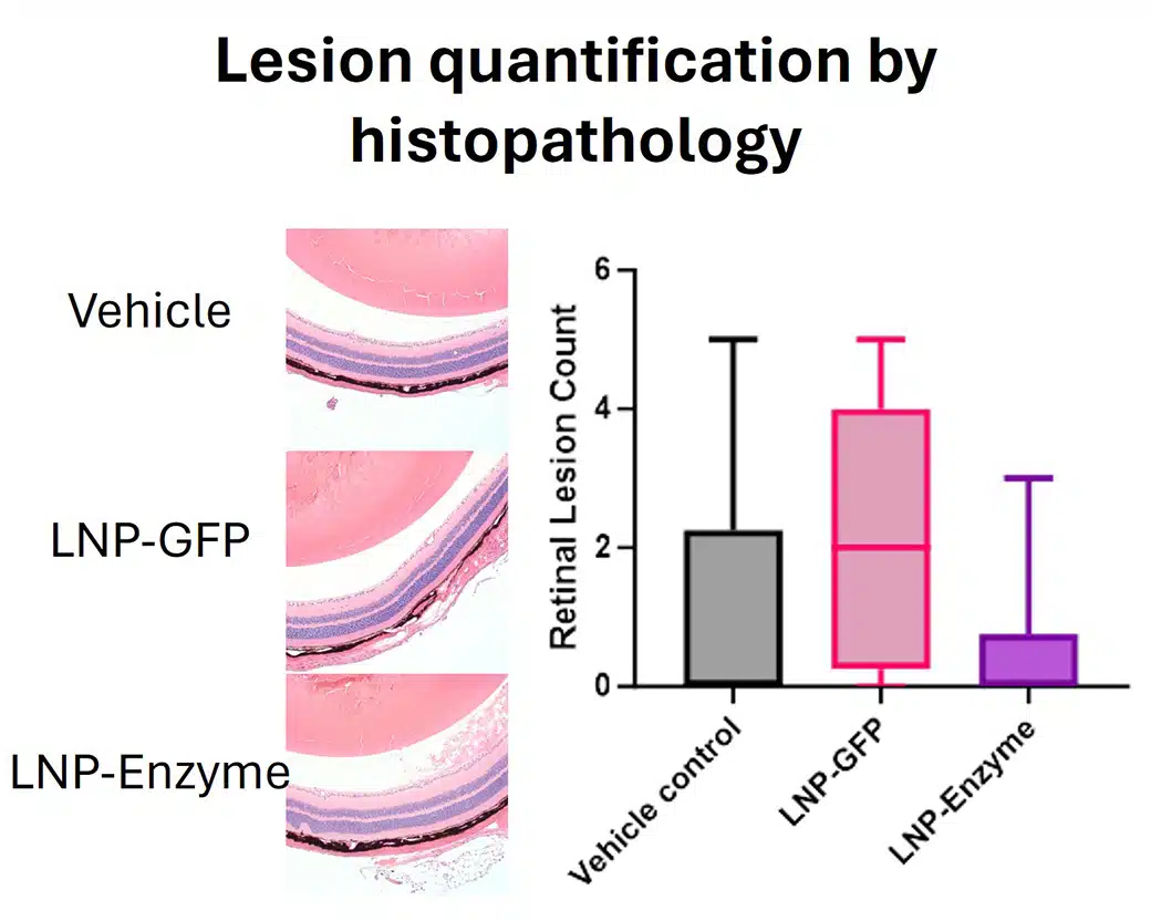 amd_case-study-histology@2x