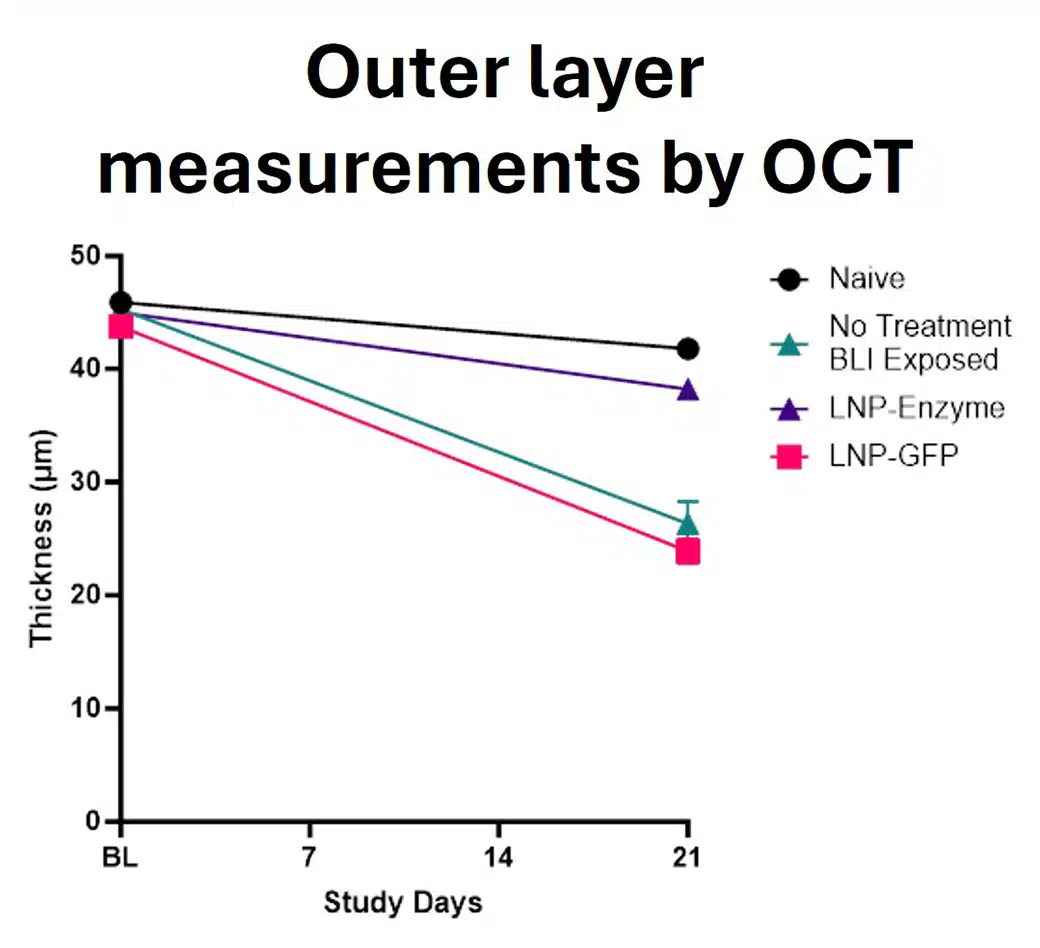 amd_case-study-oct_quantification@2x