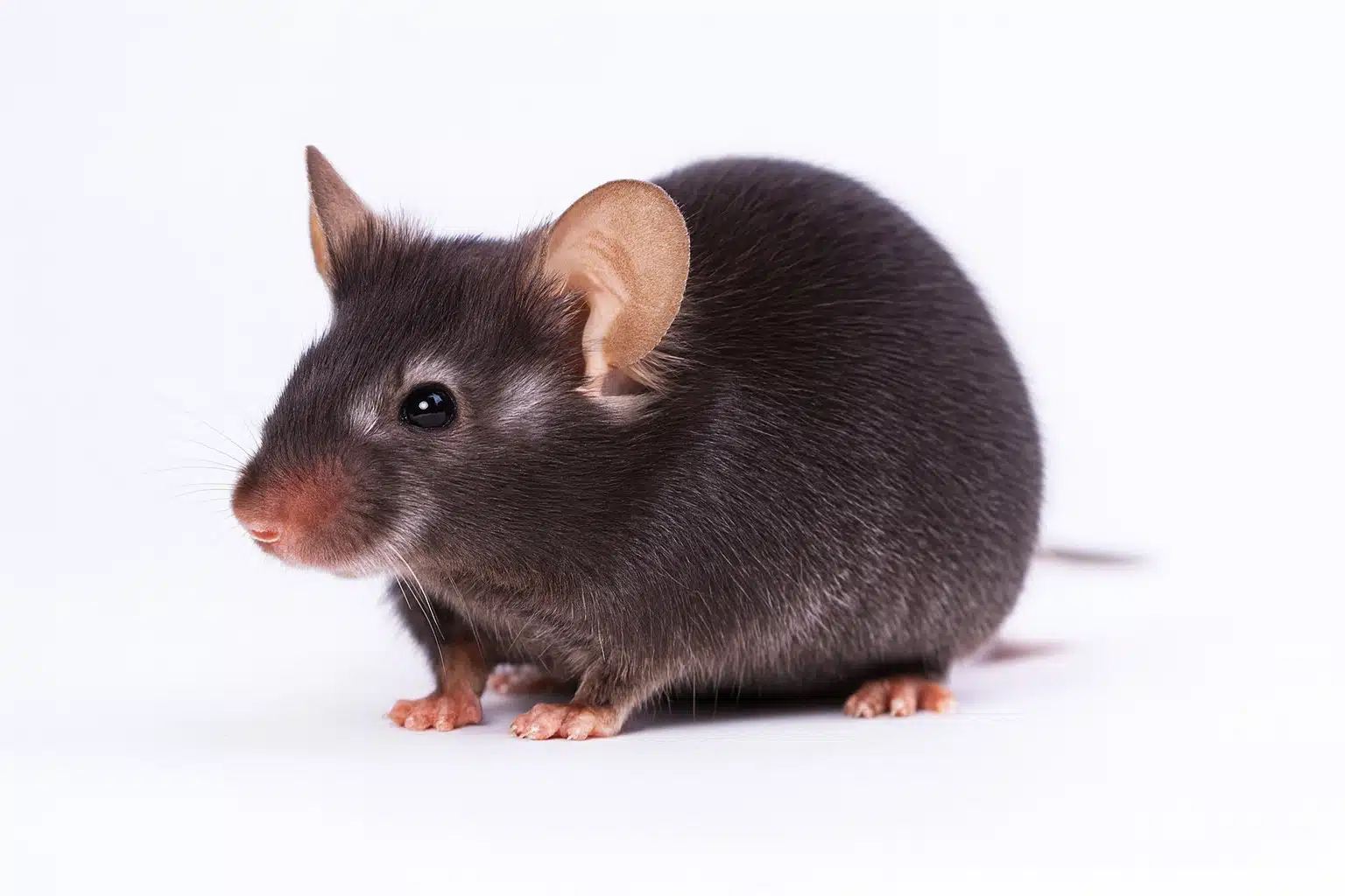 aa3374f4-8c68-4a1e-a75c-54b4e3f53ab0