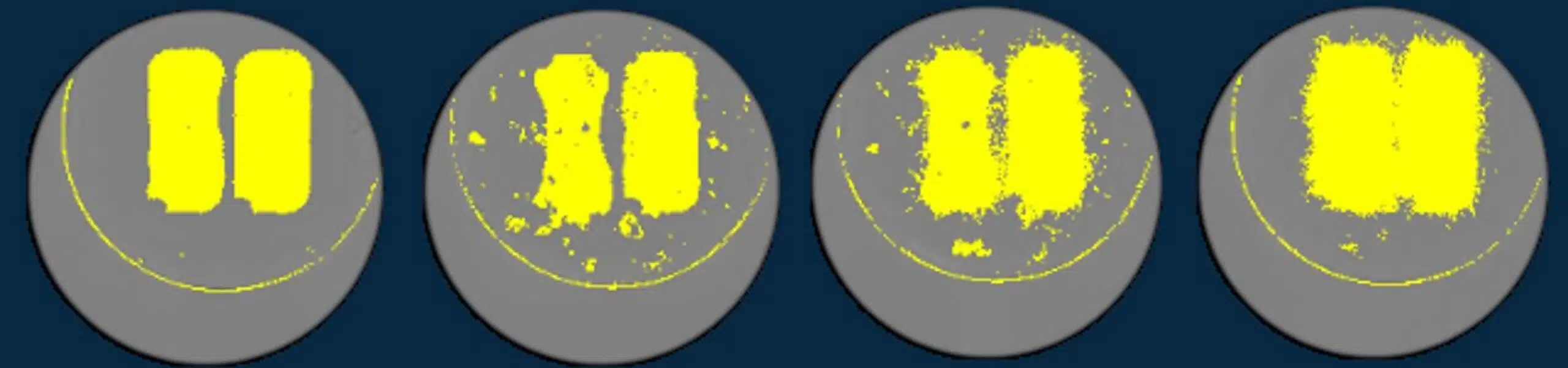 Macrophage response 2