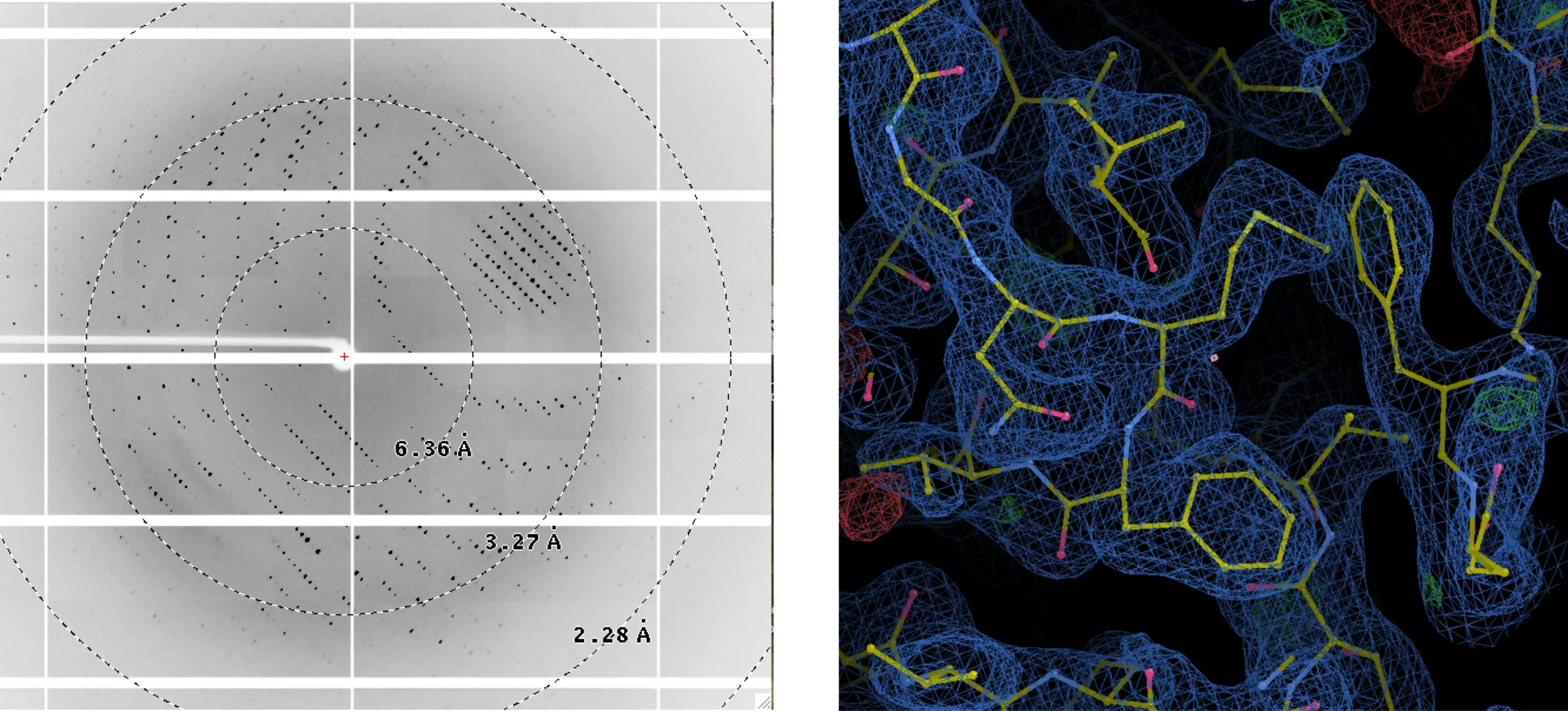 Xray slide 3